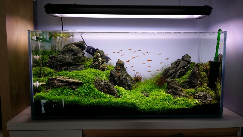 20140331_114605.jpg
