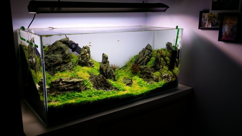 20140331_205737.jpg