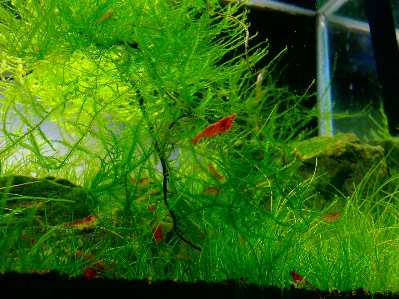 20140401378.jpg