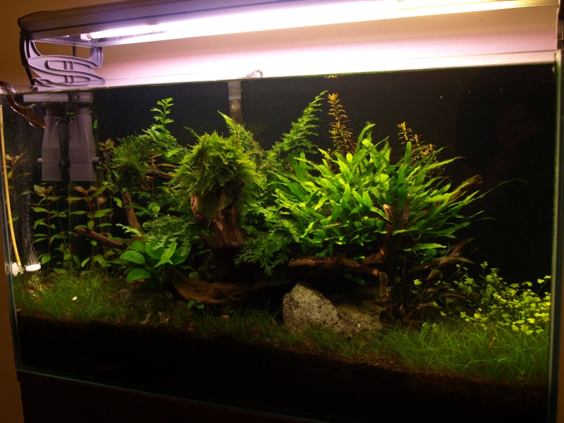 P4054592.JPG