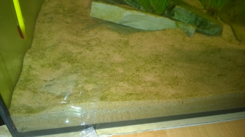 WP_20140405_007.jpg