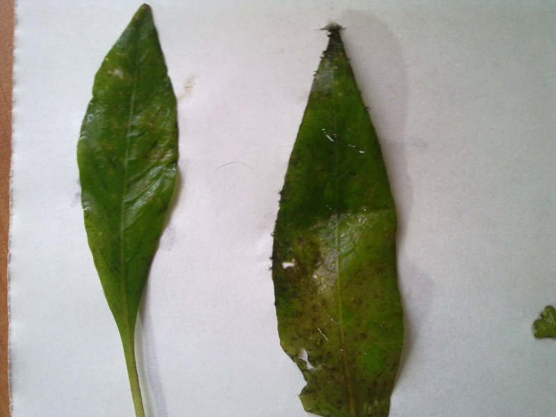 20140406403.jpg