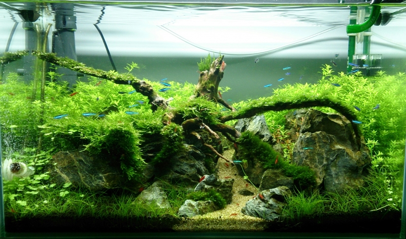 DSC_4124~2.jpg