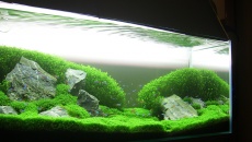300l - Green hill - Rafał Kluska