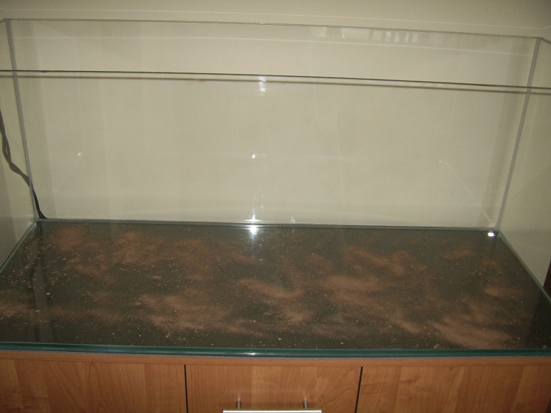 SSA40385.JPG
