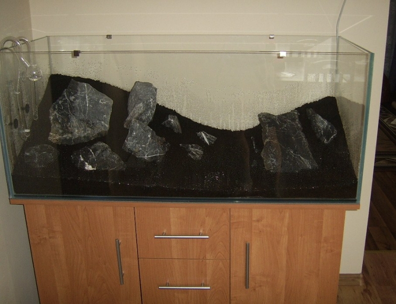 SSA40410.JPG