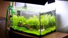 45l - Two stones - Tomasz Gil