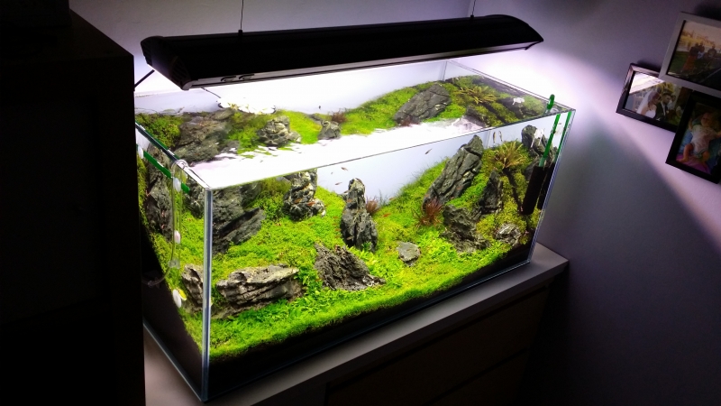 20140423_202906.jpg