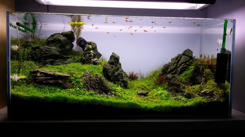 20140423_202245.jpg