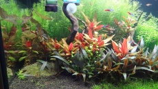 200l - Jurek
