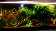 450l - amatorka
