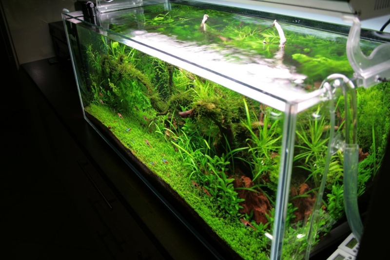 IMG_9761.jpg