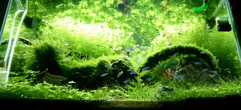20140510_221014~2.jpg