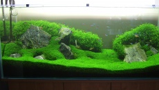 300l - Green hill - Rafał Kluska