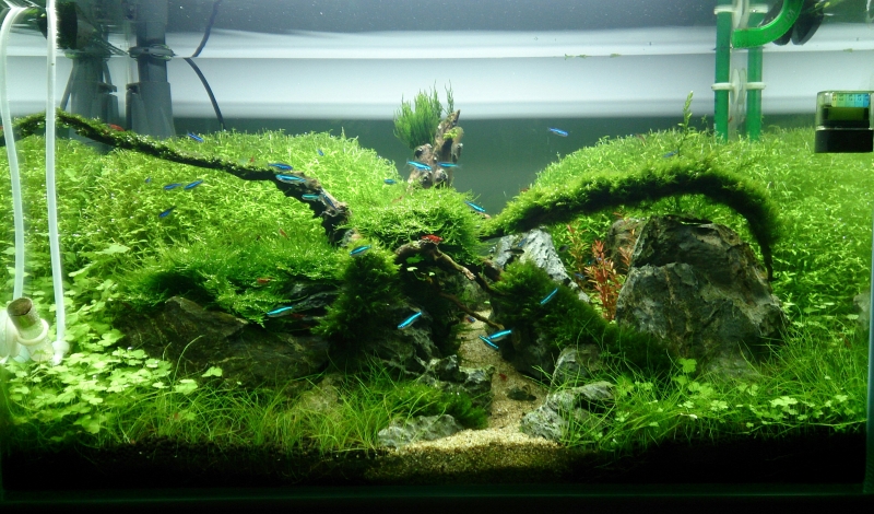 20140511_214439~2.jpg
