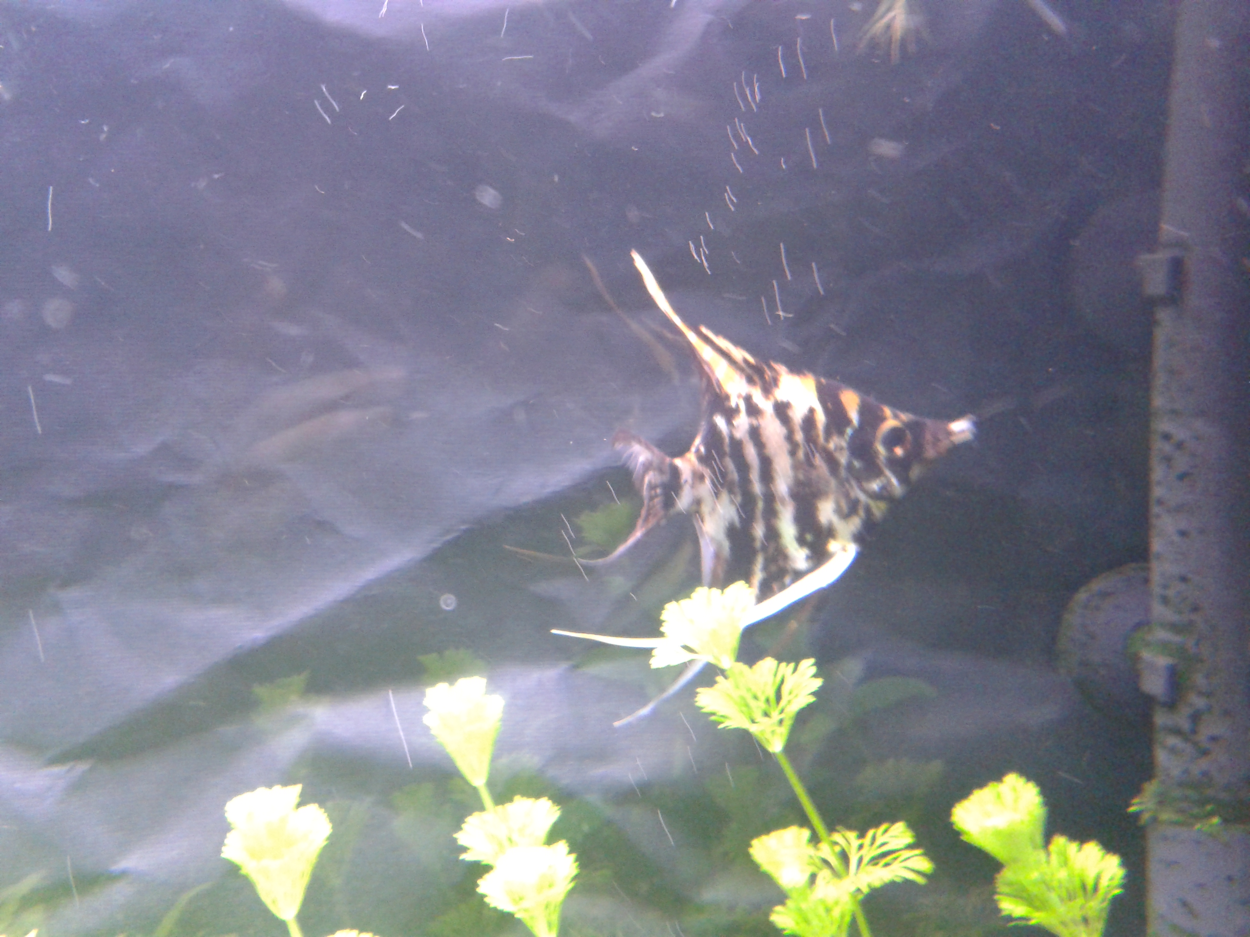 20140528_204753.jpg