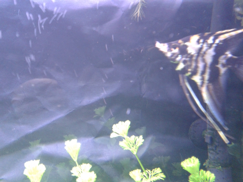 20140528_204701.jpg