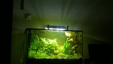 Belka DIY power led 40w