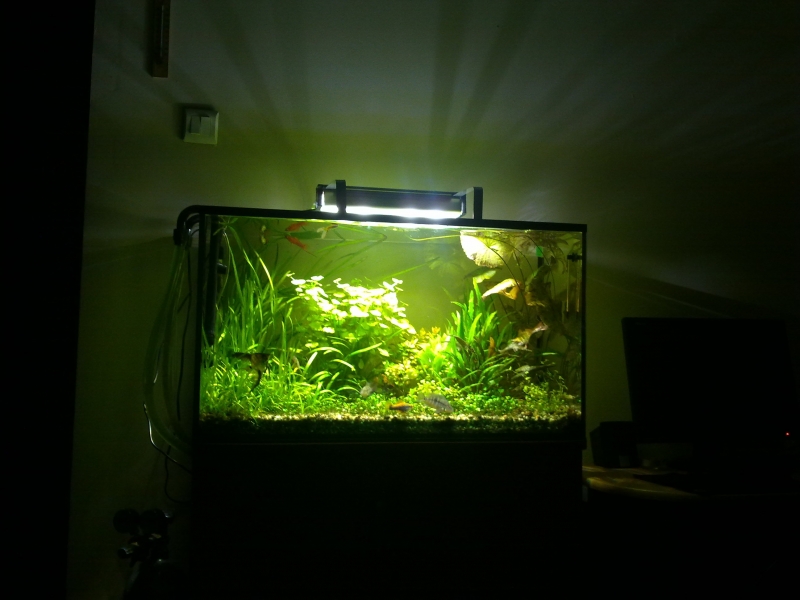 20140606469.jpg