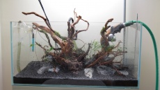 132l - Nature - Tomek K