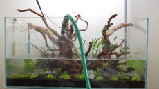 132l - Nature - Tomek K