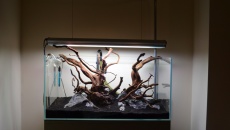 132l - Nature - Tomek K