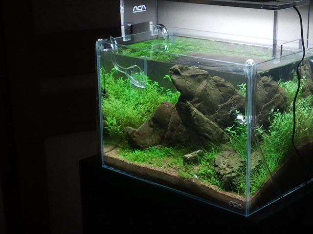 Zdjęcie0550.jpg