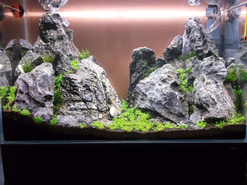 DSCF1053.jpg