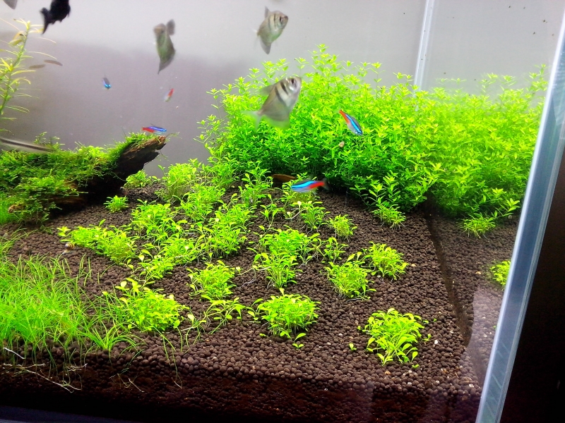 2014-07-03 16.55.27.jpg