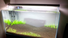 250l - Powrót - Jonny