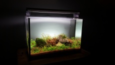 70l - B/N - Daniel Romanowski