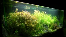 Akwarium 600L