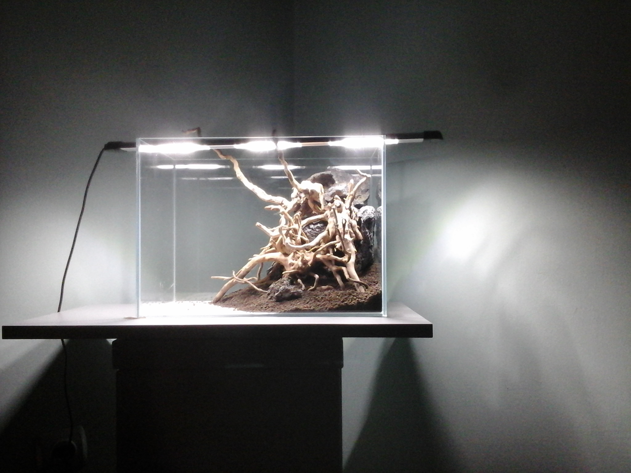 20140803_212127.jpg
