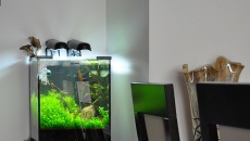 30l - Podwodny Świat - Grzesiek L