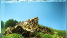 20l - mini_nature_03 - rafau