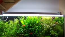 240l - Nic takiego - Robert R.