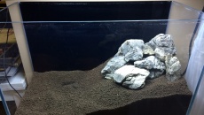 60l - 60x30x35 - Małe Iwagumi