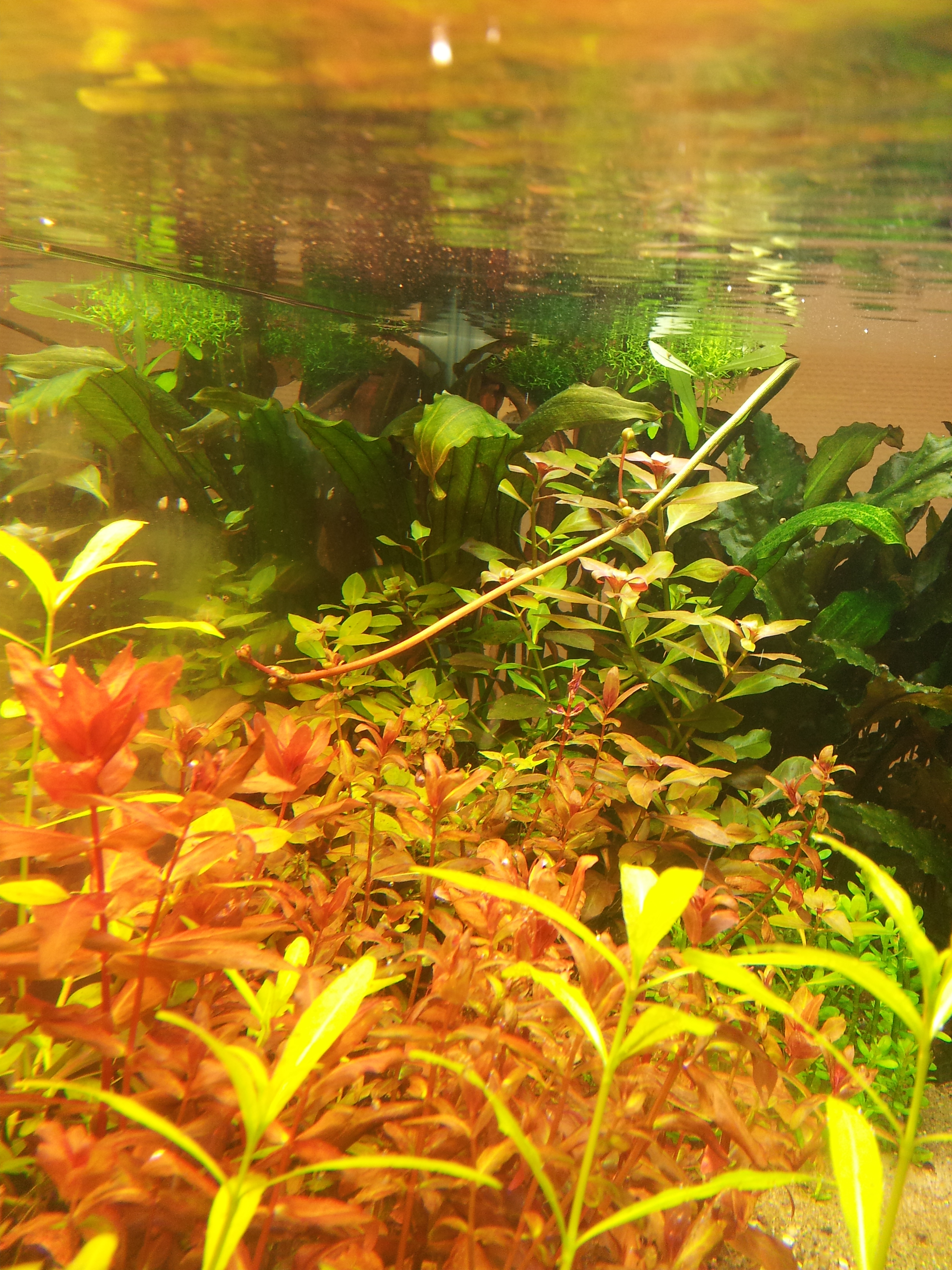 20140612_212453.jpg