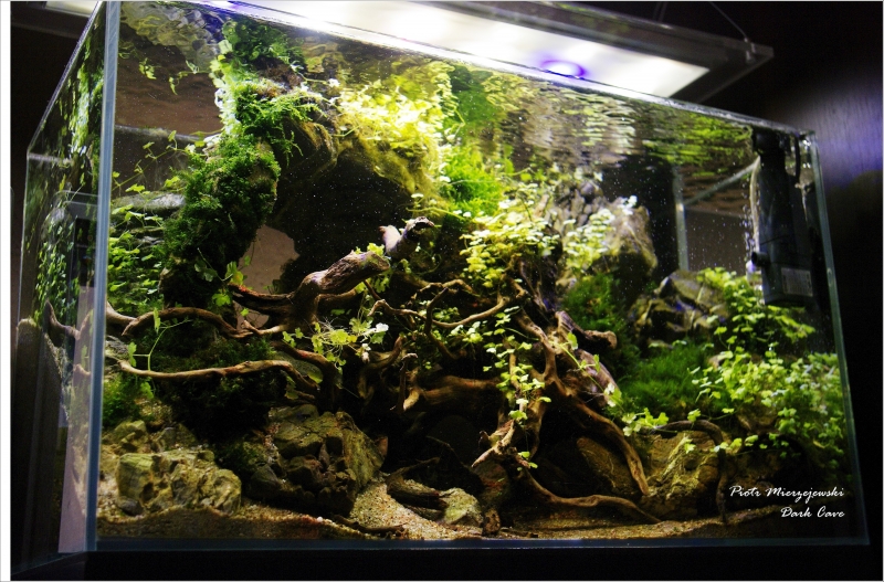 _IGP1381 (Custom).JPG