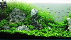 300l - Green hill - Rafał Kluska