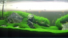 300l - Green hill - Rafał Kluska