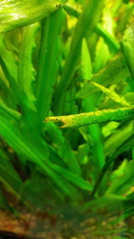 20140925_152550.jpg