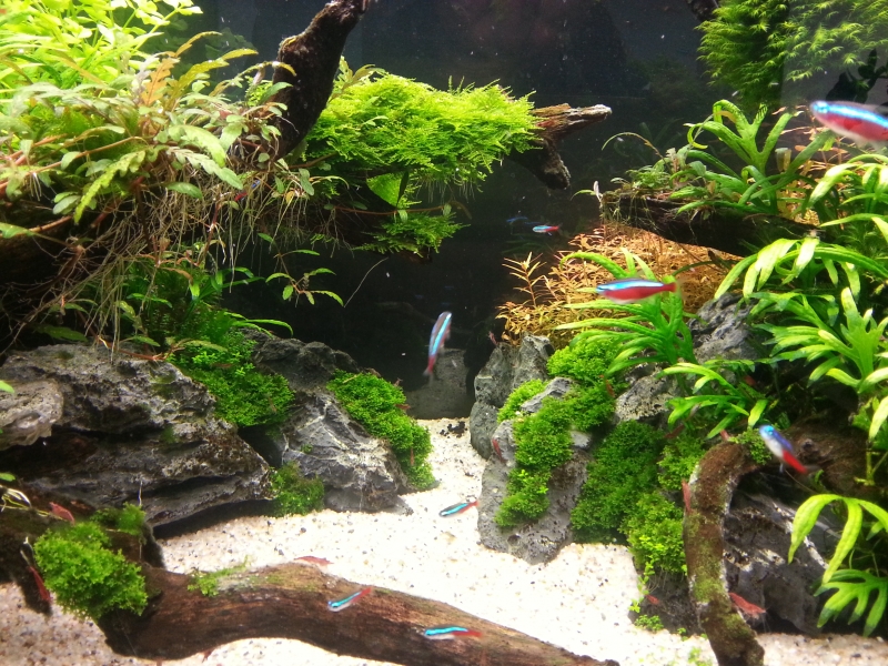 20140928_173030.jpg