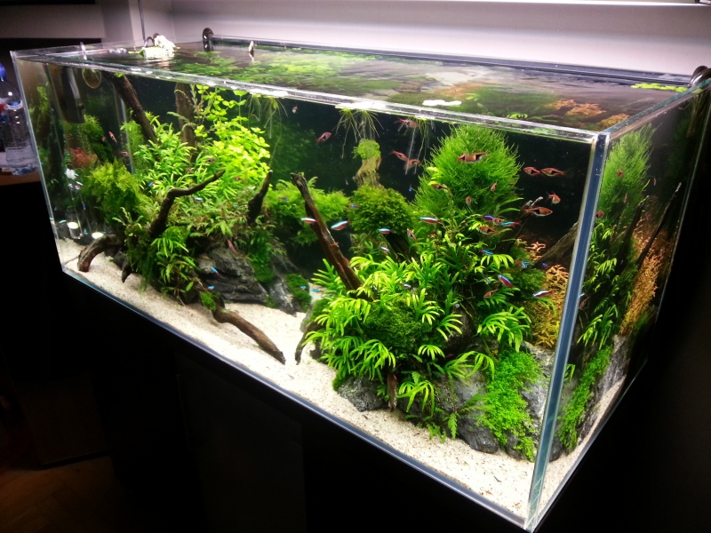 20140928_173017.jpg