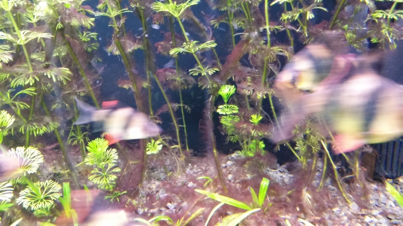 20141001_211957.jpg