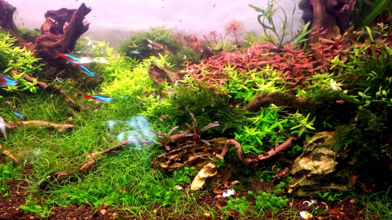 20140912_150034.jpg