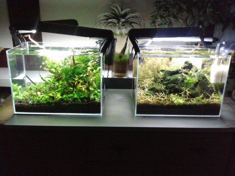 2014-10-06 20.25.51.jpg