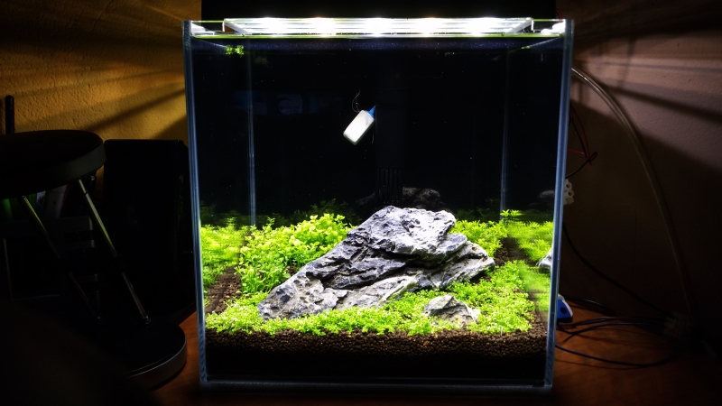 20141010_211332.jpg