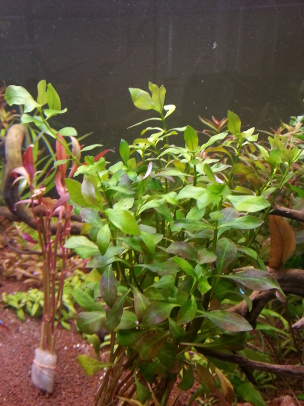 20141018_153938.jpg