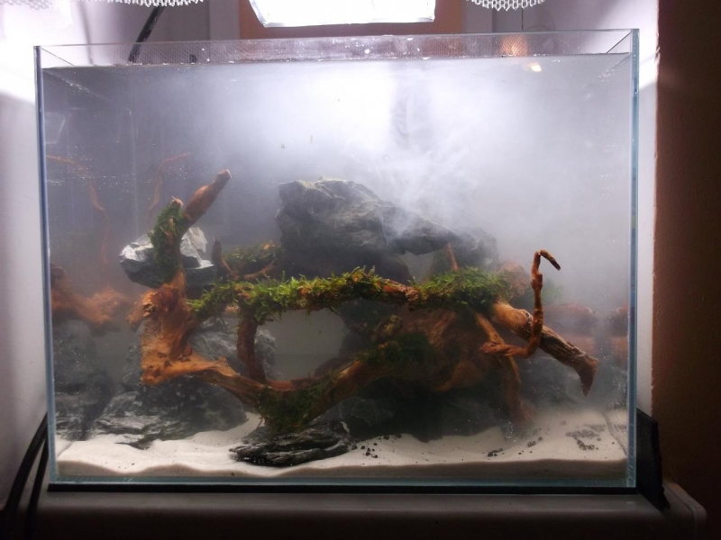 DSCF1318.JPG